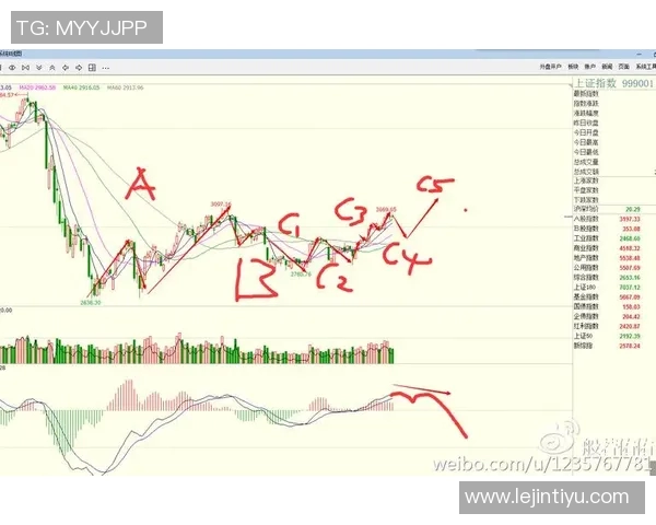 深度解析西安排球队防守策略与技术细节的全方位研究