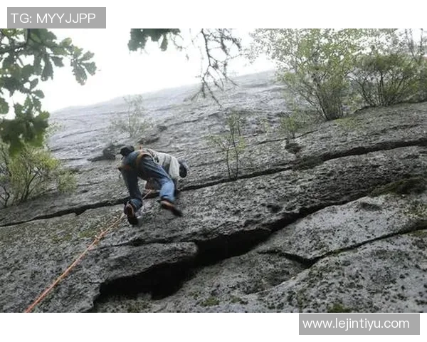 运动数据南京攀岩队战术分析与阵地战打法的深度解读与探讨